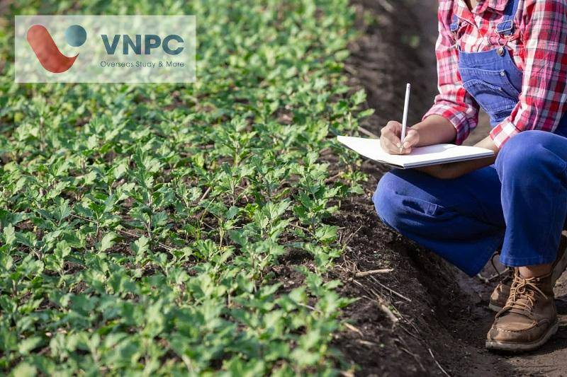 Đăng nhập King88 vina nhận +888K Úc ngành nông nghiệp 